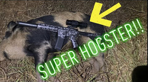 Load video: Lone boar with the Super Hogster!!